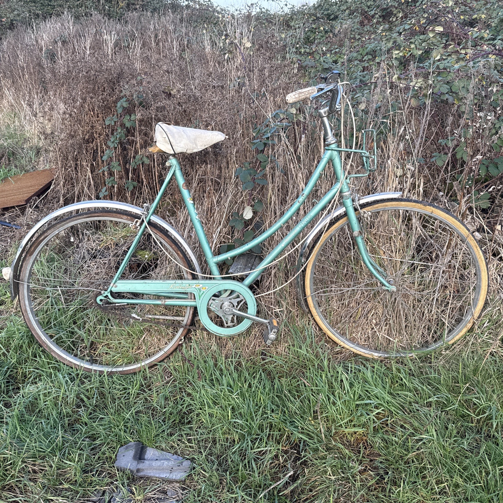 Raleigh Caprice Woman’s Bike - Barn Find