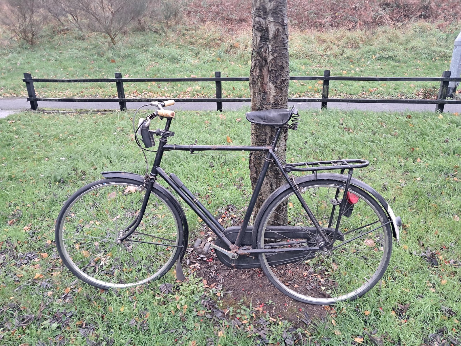 Vintage Raleigh All-Steel Bicycle 40s/50s Retro Restoration Project wall feature